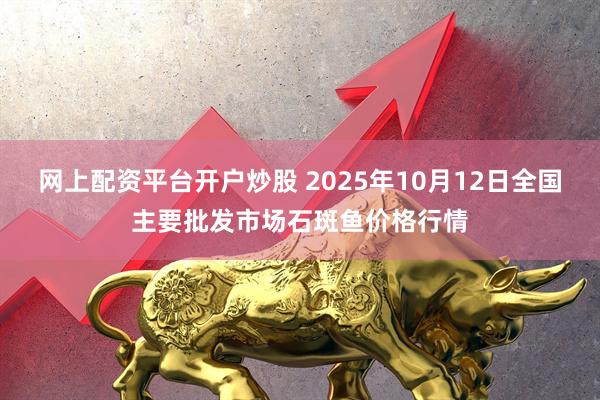 网上配资平台开户炒股 2025年10月12日全国主要批发市场石斑鱼价格行情