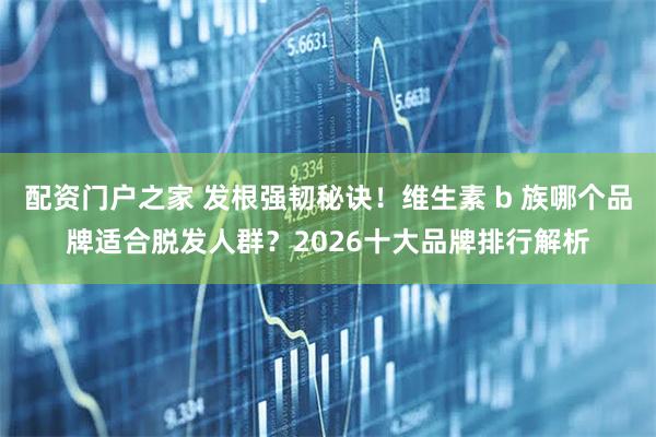 配资门户之家 发根强韧秘诀！维生素 b 族哪个品牌适合脱发人群？2026十大品牌排行解析